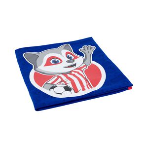 Indy swaddle blanket